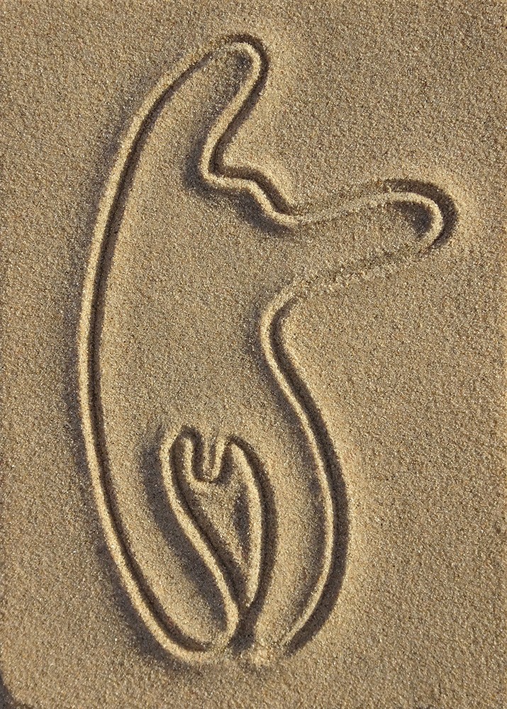 Ammoglyphe 1